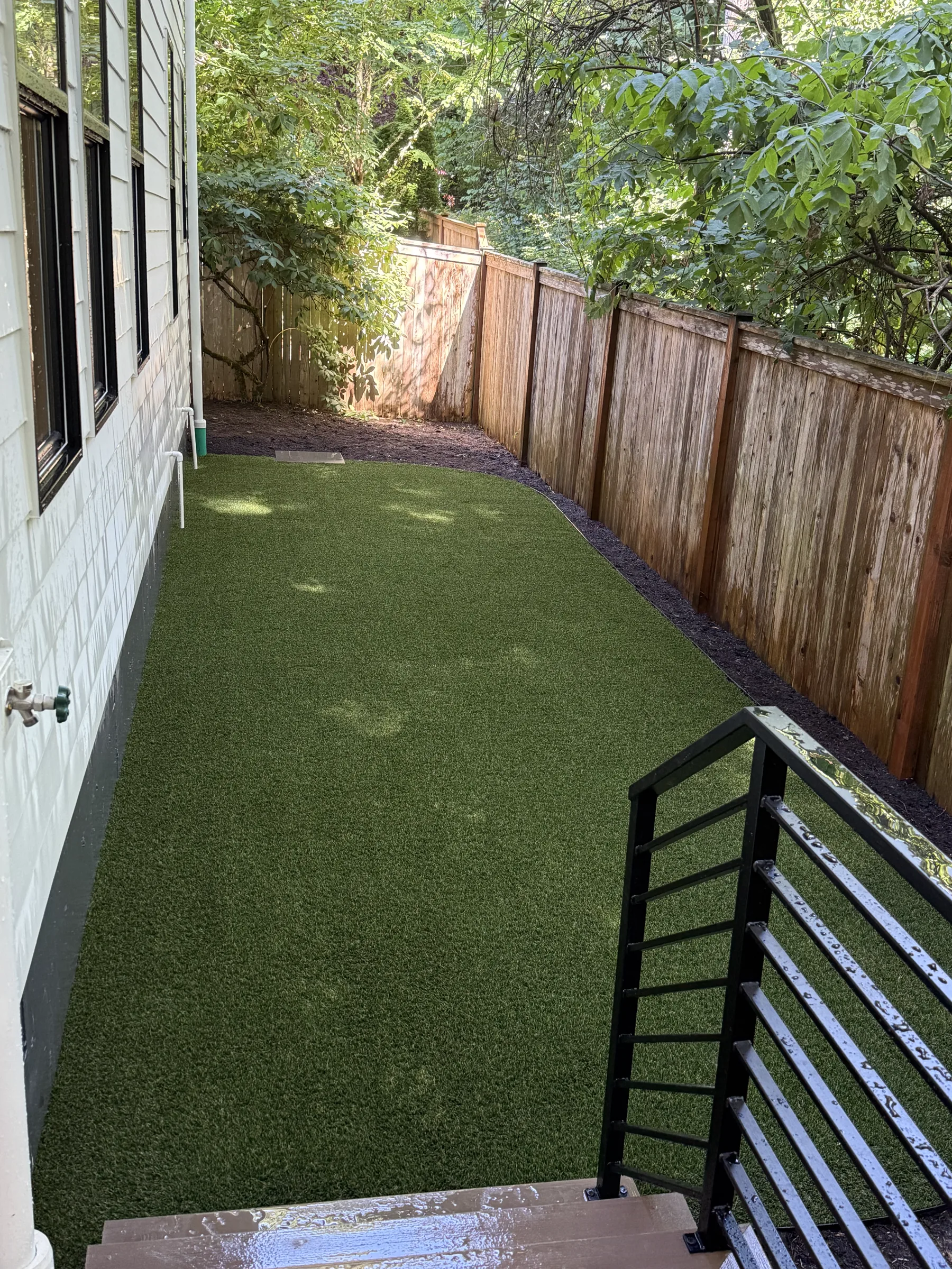 Low maintenance turf side yard along a cedar fence